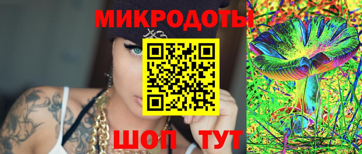 Кушва  Галлюциногенные грибы прущие грибы  Вход с VPN  Псилоцибиновые грибы Psilocybe 